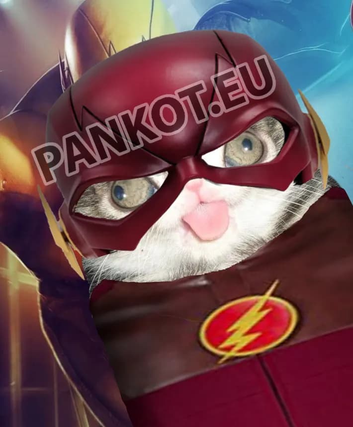 Kot Flash